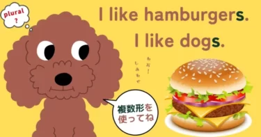 英語の複数形は大事。単数形だと意味が変わるフレーズ｜×I like dog. × I like hamburger.はどういう意味？
